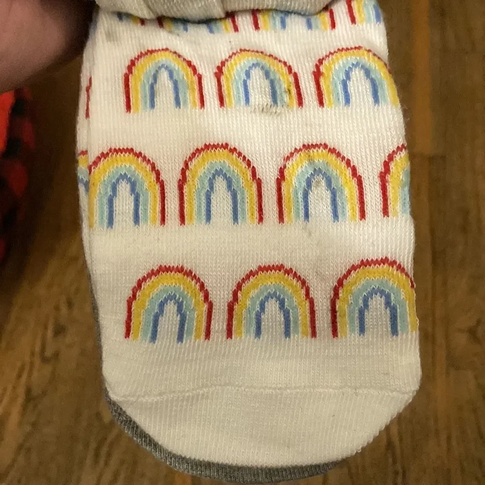 Rae Dunn Pride Ankle Socks 10pk